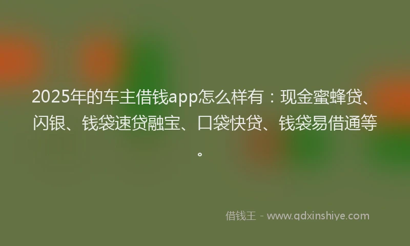 2025年的车主借钱app怎么样有：现金蜜蜂贷、闪银、钱袋速贷融宝、口袋快贷、钱袋易借通等。