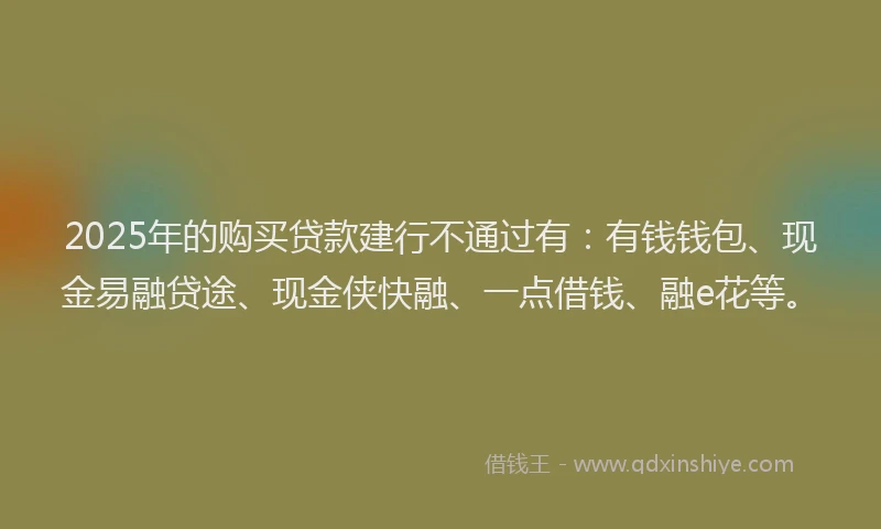 2025年的购买贷款建行不通过有：有钱钱包、现金易融贷途、现金侠快融、一点借钱、融e花等。