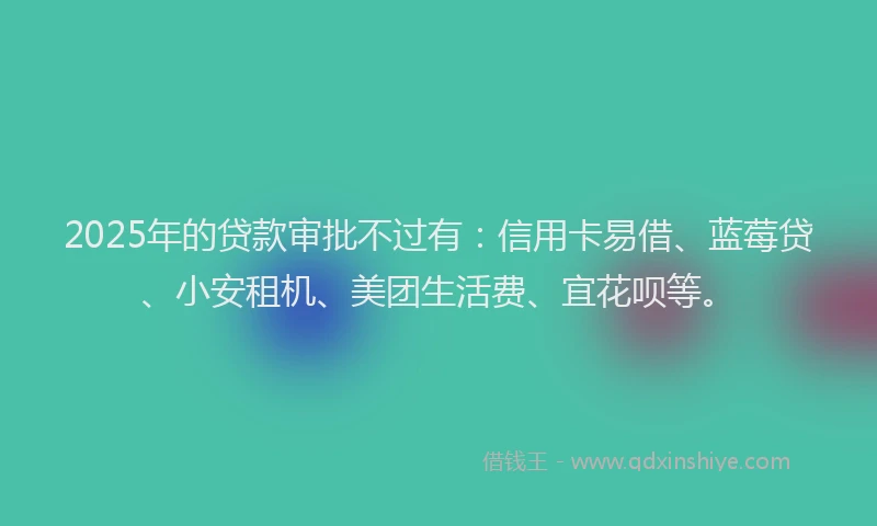 2025年的贷款审批不过有：信用卡易借、蓝莓贷、小安租机、美团生活费、宜花呗等。