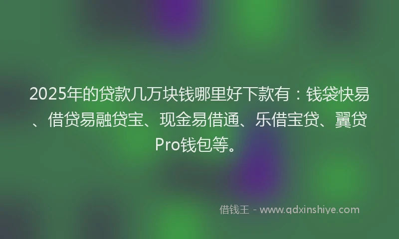2025年的贷款几万块钱哪里好下款有：钱袋快易、借贷易融贷宝、现金易借通、乐借宝贷、翼贷Pro钱包等。
