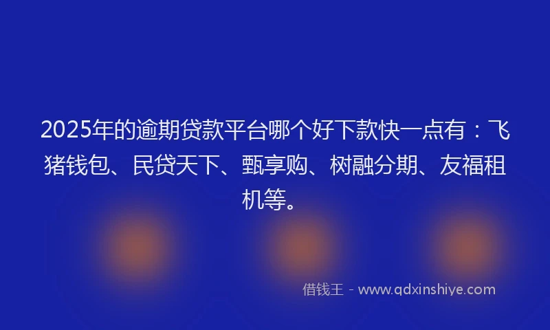 2025年的逾期贷款平台哪个好下款快一点有：飞猪钱包、民贷天下、甄享购、树融分期、友福租机等。