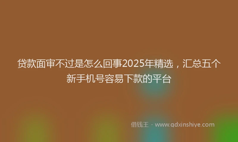 贷款面审不过是怎么回事2025年精选，汇总五个新手机号容易下款的平台