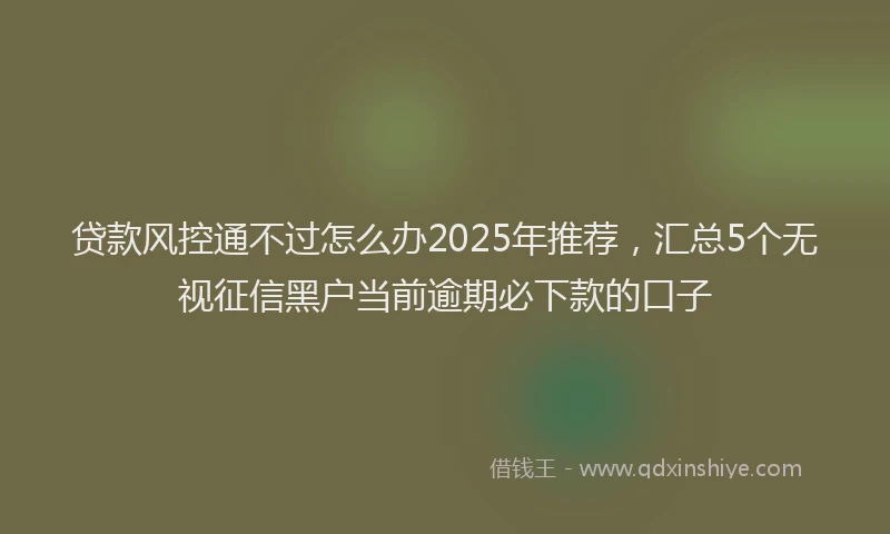 贷款风控通不过怎么办2025年推荐，汇总5个无视征信黑户当前逾期必下款的口子