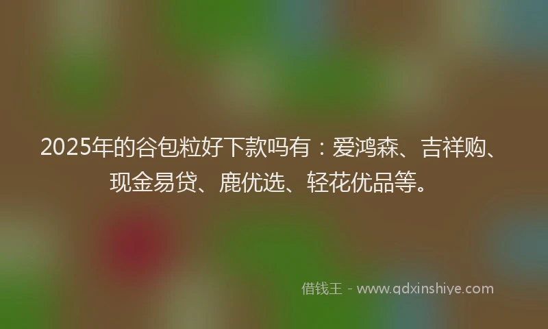 2025年的谷包粒好下款吗有：爱鸿森、吉祥购、现金易贷、鹿优选、轻花优品等。