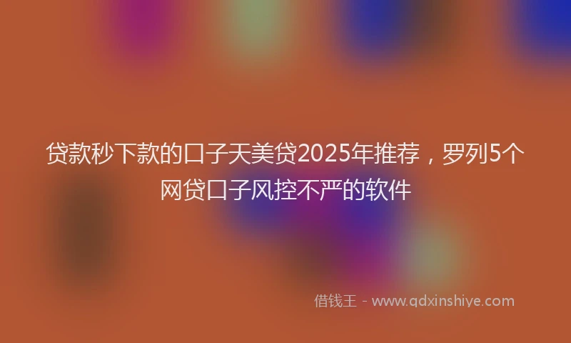 贷款秒下款的口子天美贷2025年推荐，罗列5个网贷口子风控不严的软件