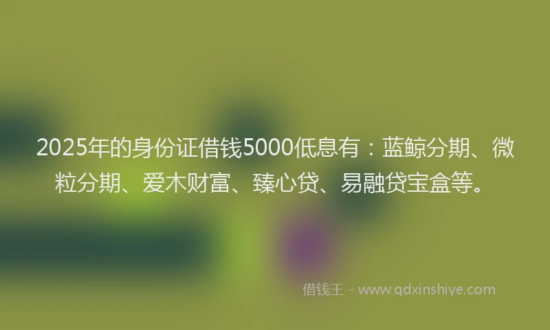 2025年的身份证借钱5000低息有：蓝鲸分期、微粒分期、爱木财富、臻心贷、易融贷宝盒等。
