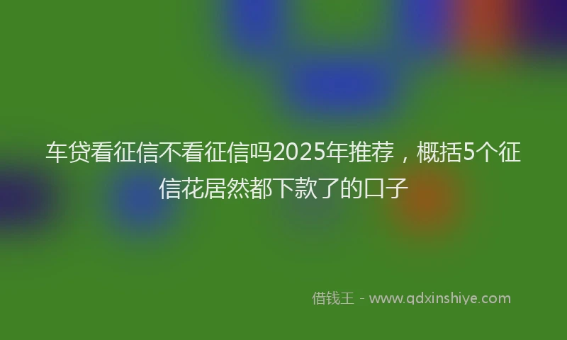 车贷看征信不看征信吗2025年推荐，概括5个征信花居然都下款了的口子