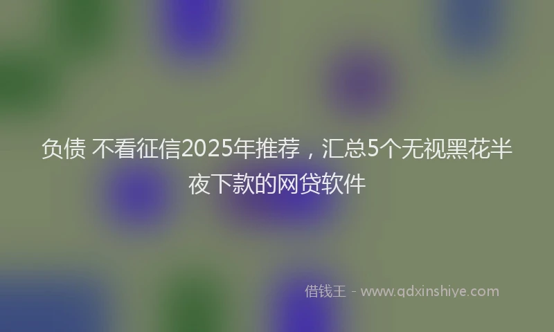 负债 不看征信2025年推荐，汇总5个无视黑花半夜下款的网贷软件