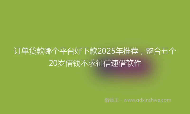 订单贷款哪个平台好下款2025年推荐，整合五个20岁借钱不求征信速借软件