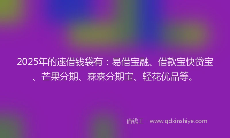 2025年的速借钱袋有：易借宝融、借款宝快贷宝、芒果分期、森森分期宝、轻花优品等。