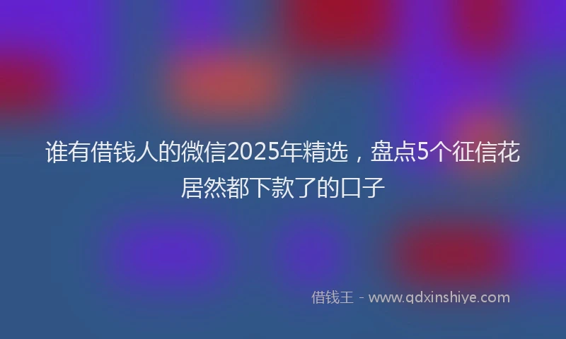 谁有借钱人的微信2025年精选，盘点5个征信花居然都下款了的口子