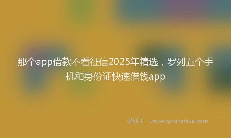 那个app借款不看征信2025年精选，罗列五个手机和身份证快速借钱app