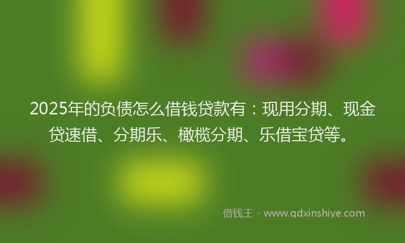 2025年的负债怎么借钱贷款有：现用分期、现金贷速借、分期乐、橄榄分期、乐借宝贷等。