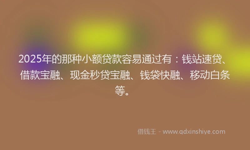 2025年的那种小额贷款容易通过有：钱站速贷、借款宝融、现金秒贷宝融、钱袋快融、移动白条等。