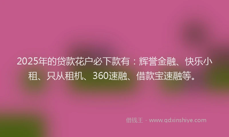 2025年的贷款花户必下款有：辉誉金融、快乐小租、只从租机、360速融、借款宝速融等。
