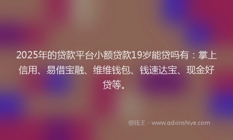 2025年的贷款平台小额贷款19岁能贷吗有：掌上信用、易借宝融、维维钱包、钱速达宝、现金好贷等。