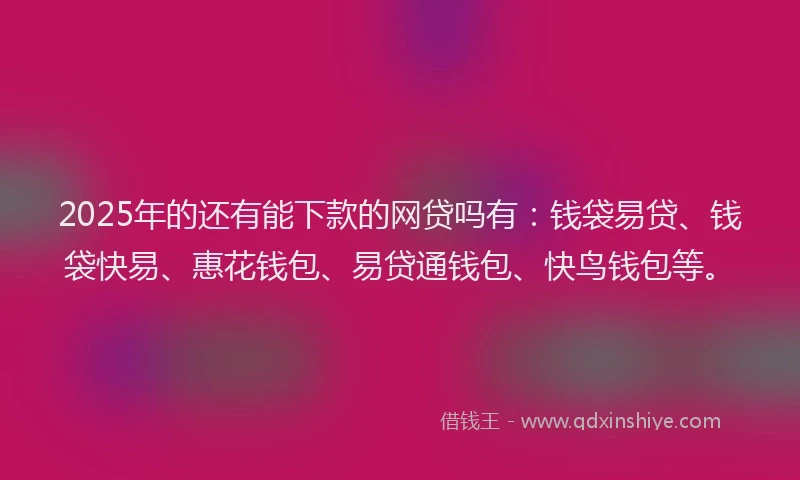 2025年的还有能下款的网贷吗有：钱袋易贷、钱袋快易、惠花钱包、易贷通钱包、快鸟钱包等。