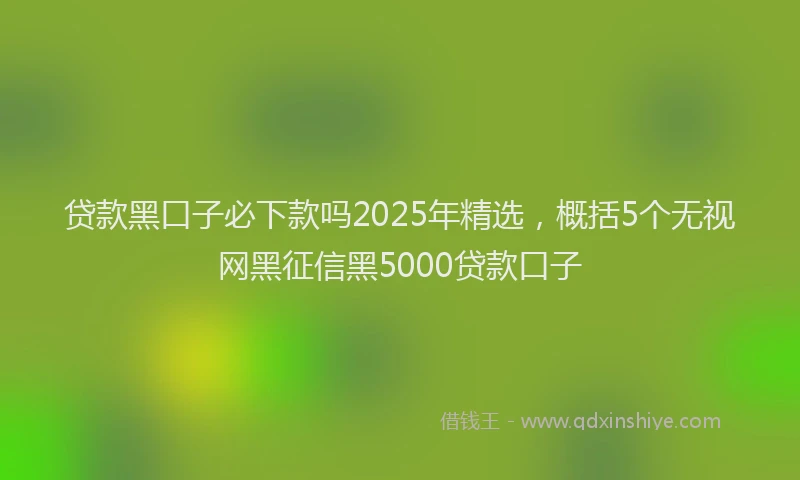 贷款黑口子必下款吗2025年精选，概括5个无视网黑征信黑5000贷款口子