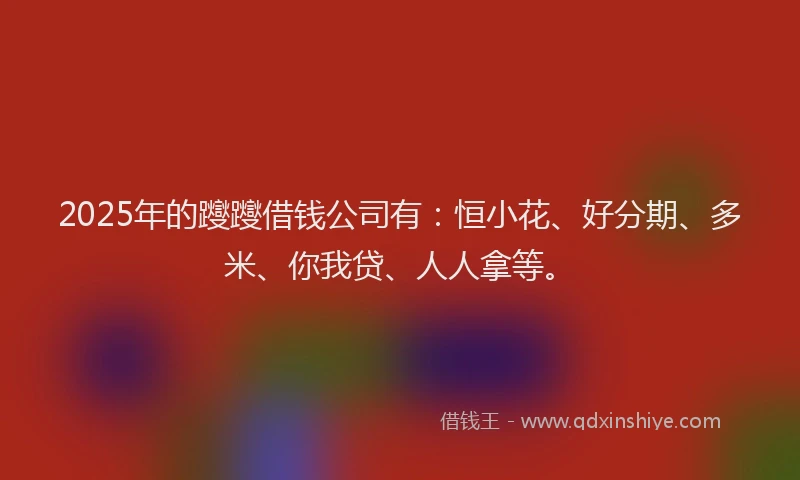 2025年的躞躞借钱公司有：恒小花、好分期、多米、你我贷、人人拿等。