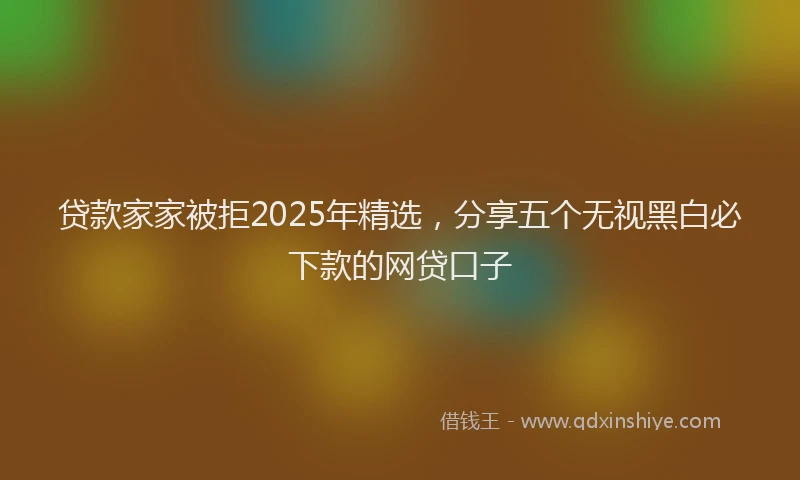 贷款家家被拒2025年精选，分享五个无视黑白必下款的网贷口子