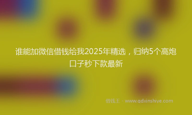 谁能加微信借钱给我2025年精选，归纳5个高炮口子秒下款最新