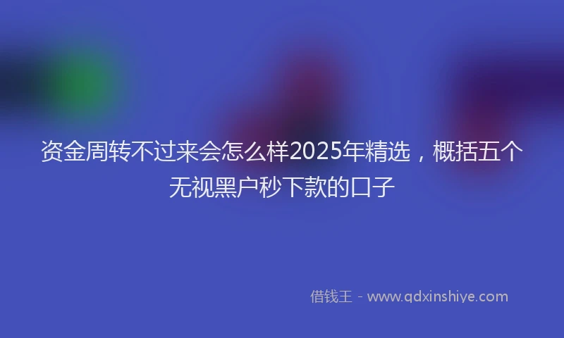 资金周转不过来会怎么样2025年精选，概括五个无视黑户秒下款的口子