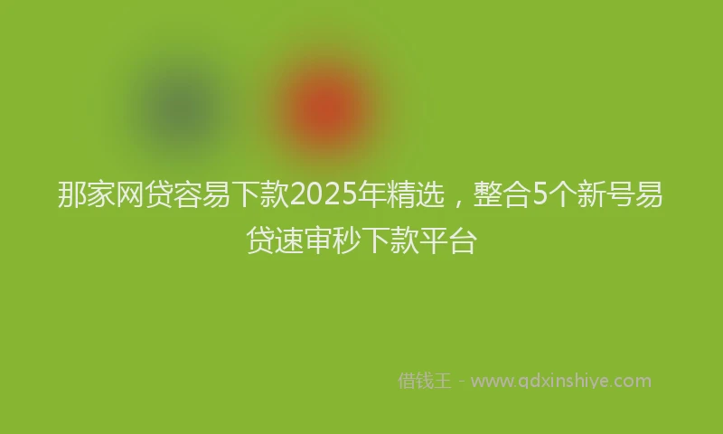 那家网贷容易下款2025年精选，整合5个新号易贷速审秒下款平台
