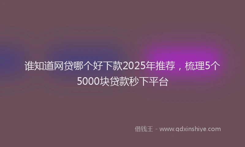 谁知道网贷哪个好下款2025年推荐，梳理5个5000块贷款秒下平台