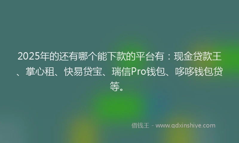 2025年的还有哪个能下款的平台有：现金贷款王、掌心租、快易贷宝、瑞信Pro钱包、哆哆钱包贷等。