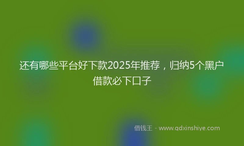 还有哪些平台好下款2025年推荐，归纳5个黑户借款必下口子