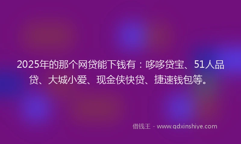 2025年的那个网贷能下钱有：哆哆贷宝、51人品贷、大城小爱、现金侠快贷、捷速钱包等。