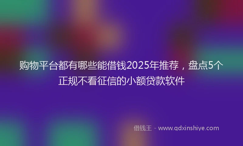 购物平台都有哪些能借钱2025年推荐，盘点5个正规不看征信的小额贷款软件