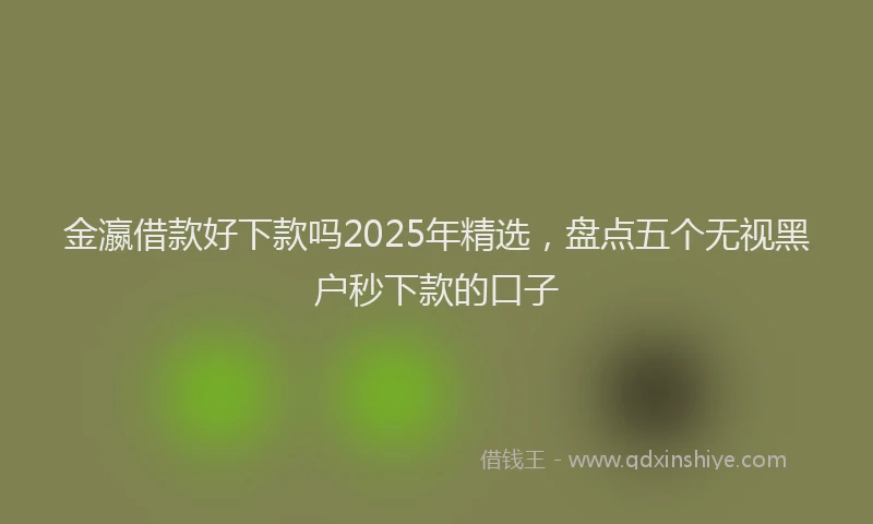 金瀛借款好下款吗2025年精选，盘点五个无视黑户秒下款的口子