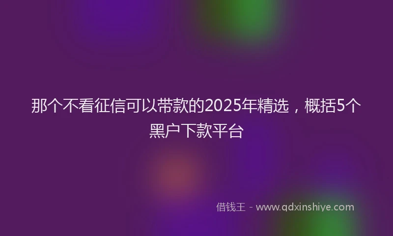 那个不看征信可以带款的2025年精选，概括5个黑户下款平台