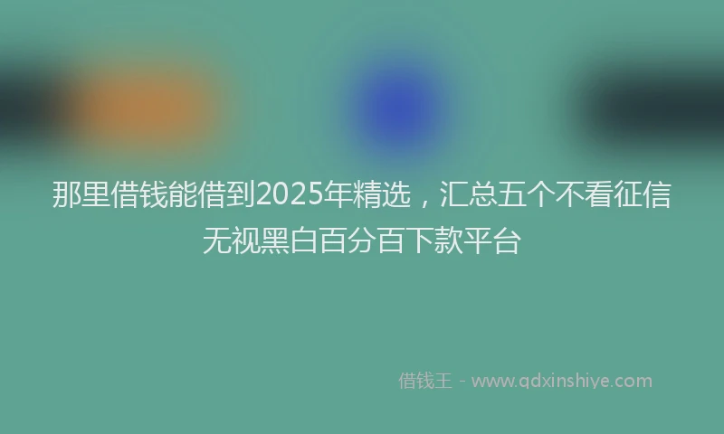 那里借钱能借到2025年精选，汇总五个不看征信无视黑白百分百下款平台