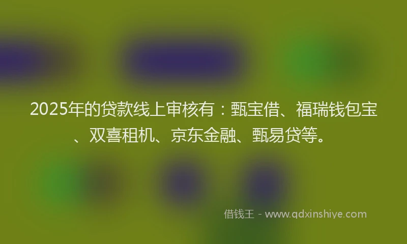 2025年的贷款线上审核有：甄宝借、福瑞钱包宝、双喜租机、京东金融、甄易贷等。