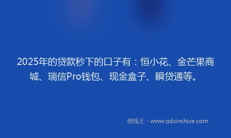 2025年的贷款秒下的口子有：恒小花、金芒果商城、瑞信Pro钱包、现金盒子、瞬贷通等。