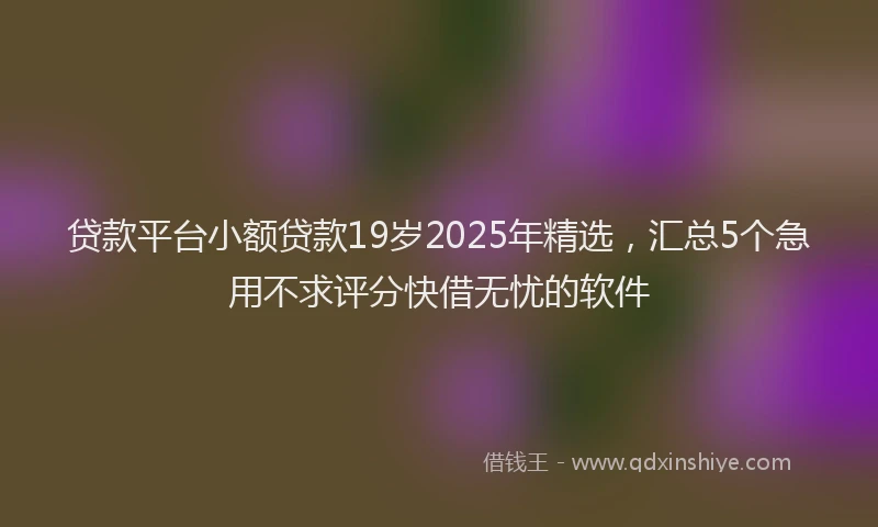 贷款平台小额贷款19岁2025年精选，汇总5个急用不求评分快借无忧的软件