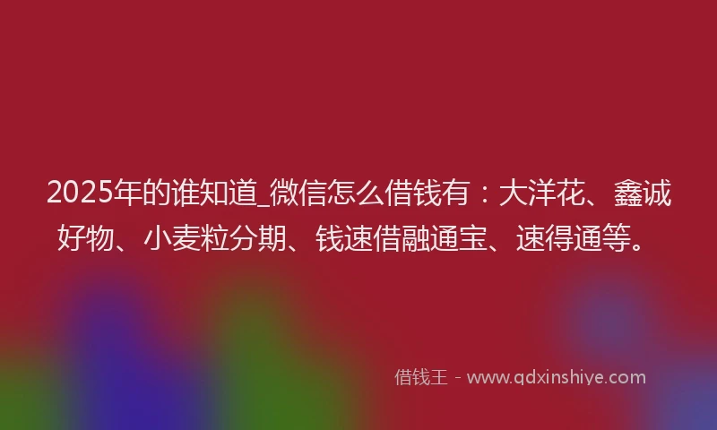 2025年的谁知道_微信怎么借钱有：大洋花、鑫诚好物、小麦粒分期、钱速借融通宝、速得通等。