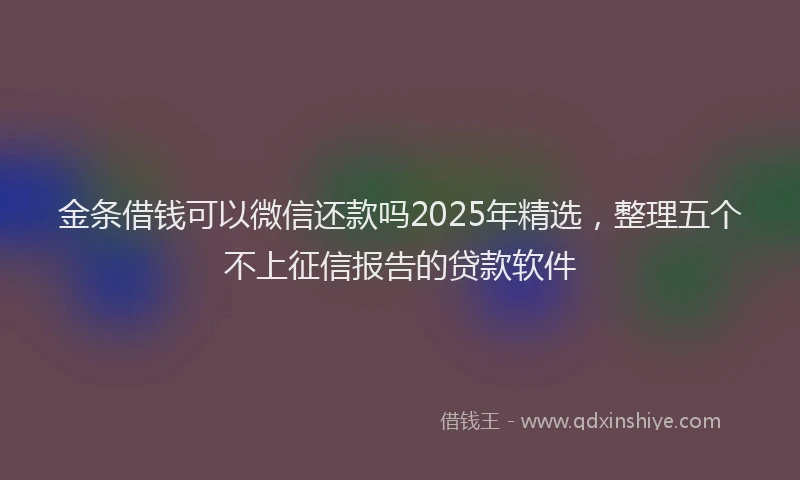 金条借钱可以微信还款吗2025年精选，整理五个不上征信报告的贷款软件