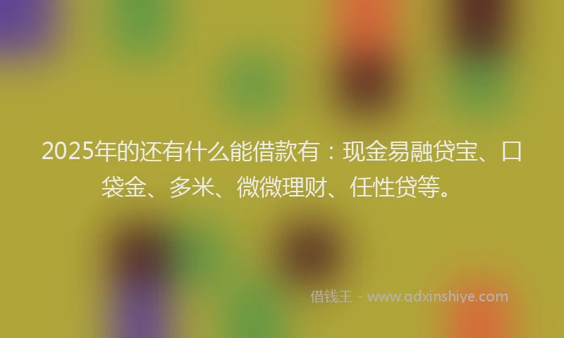 2025年的还有什么能借款有：现金易融贷宝、口袋金、多米、微微理财、任性贷等。
