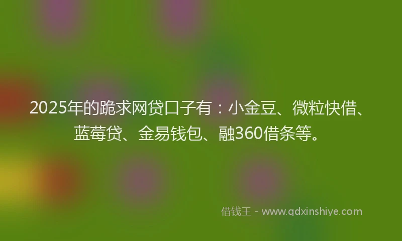 2025年的跪求网贷口子有：小金豆、微粒快借、蓝莓贷、金易钱包、融360借条等。
