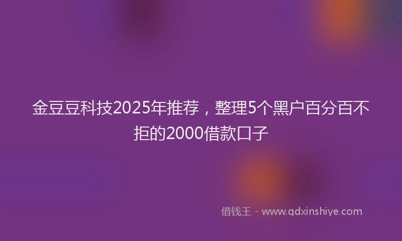 金豆豆科技2025年推荐，整理5个黑户百分百不拒的2000借款口子