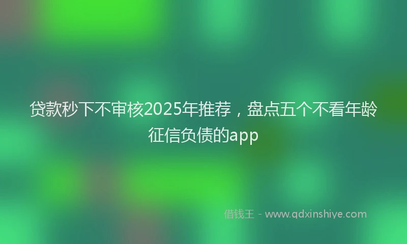 贷款秒下不审核2025年推荐，盘点五个不看年龄征信负债的app