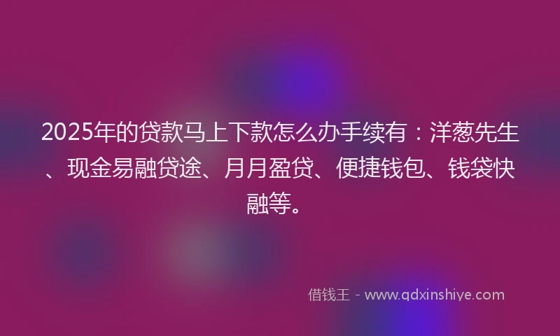 2025年的贷款马上下款怎么办手续有：洋葱先生、现金易融贷途、月月盈贷、便捷钱包、钱袋快融等。