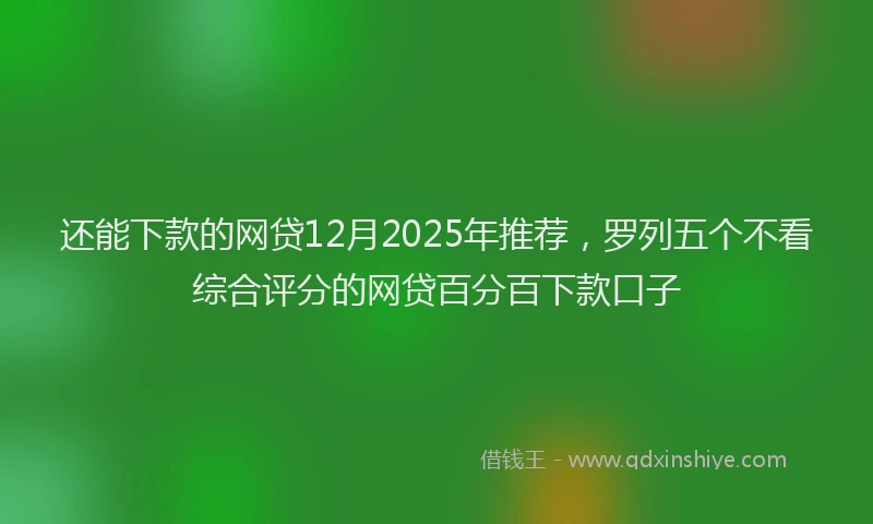 还能下款的网贷12月2025年推荐，罗列五个不看综合评分的网贷百分百下款口子