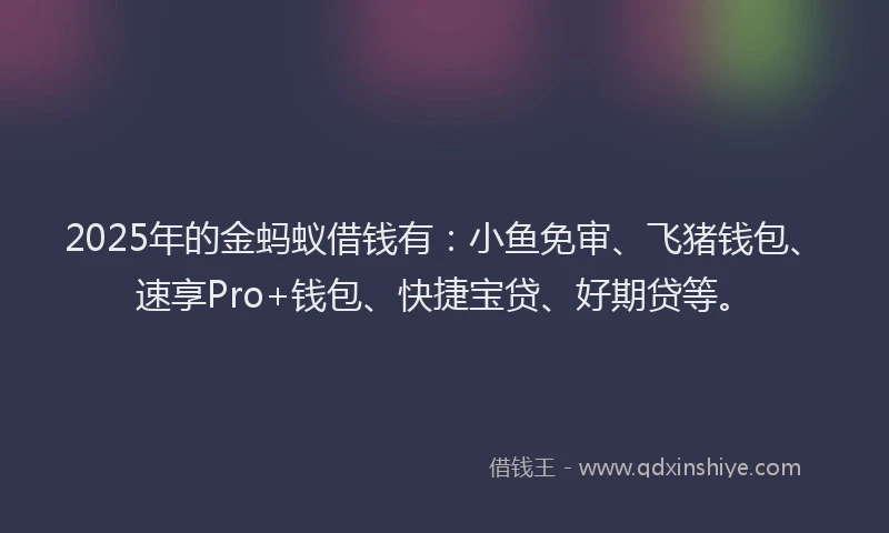 2025年的金蚂蚁借钱有：小鱼免审、飞猪钱包、速享Pro+钱包、快捷宝贷、好期贷等。