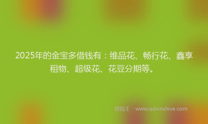 2025年的金宝多借钱有：维品花、畅行花、鑫享租物、超级花、花豆分期等。