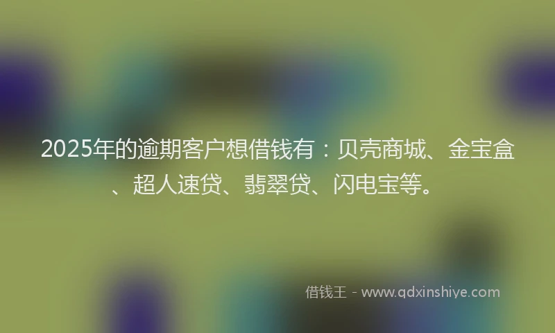 2025年的逾期客户想借钱有：贝壳商城、金宝盒、超人速贷、翡翠贷、闪电宝等。