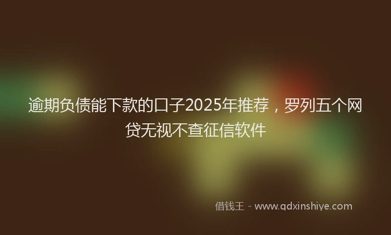 逾期负债能下款的口子2025年推荐，罗列五个网贷无视不查征信软件